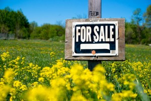 Photo Credit: Lis Bokt